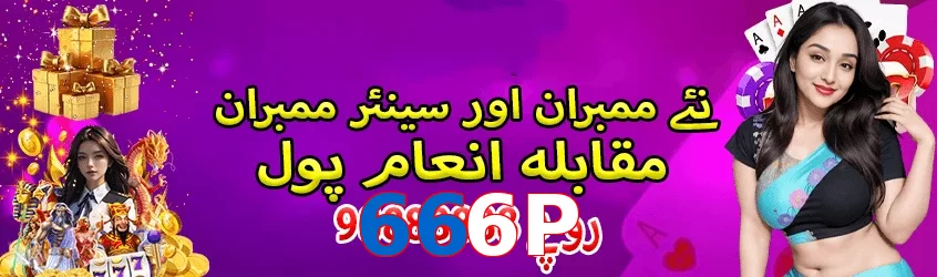 666P interface sample